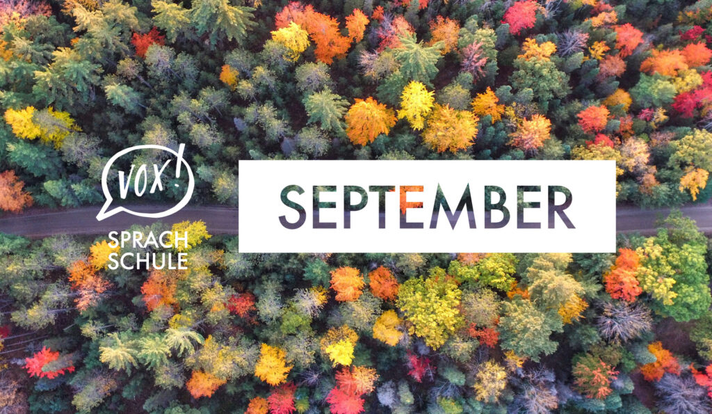 Discover September’s Highlights with VOX!