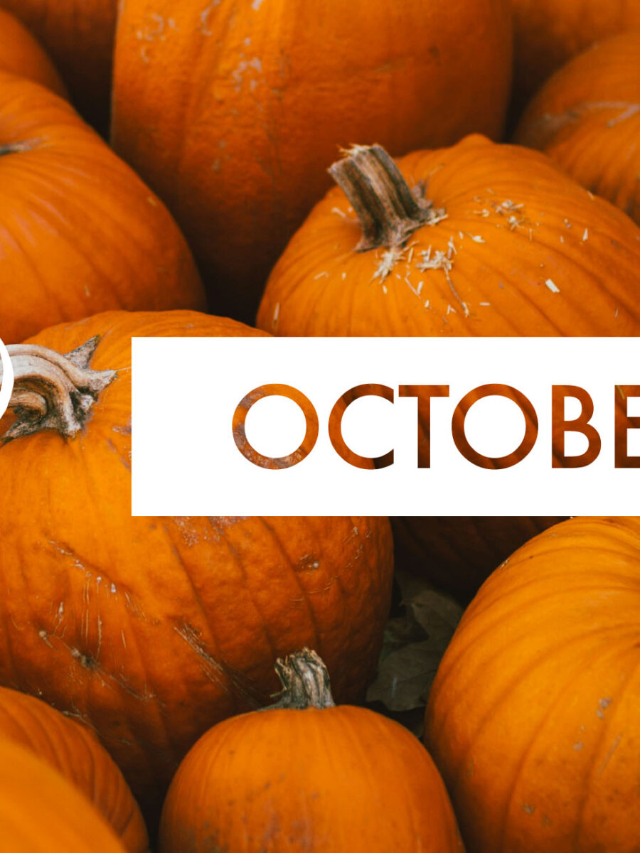 Discover October’s Highlights with VOX!