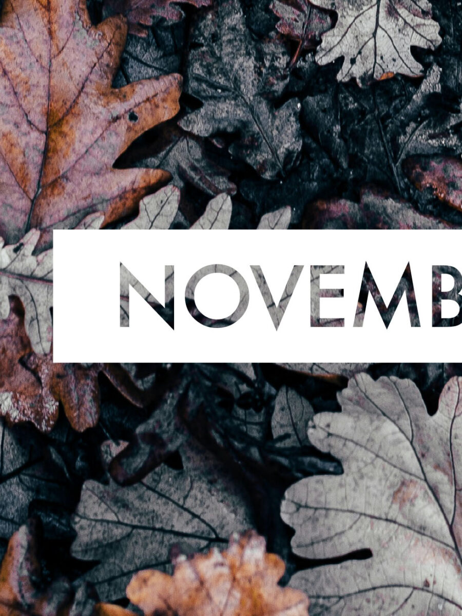 Discover November’s Highlights with VOX!