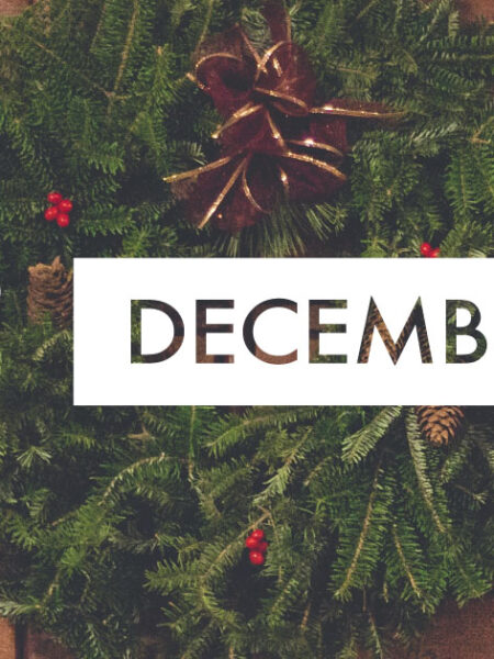 Discover December’s Highlights with VOX!