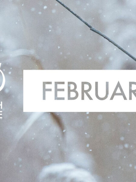 Discover February’s Highlights with VOX!